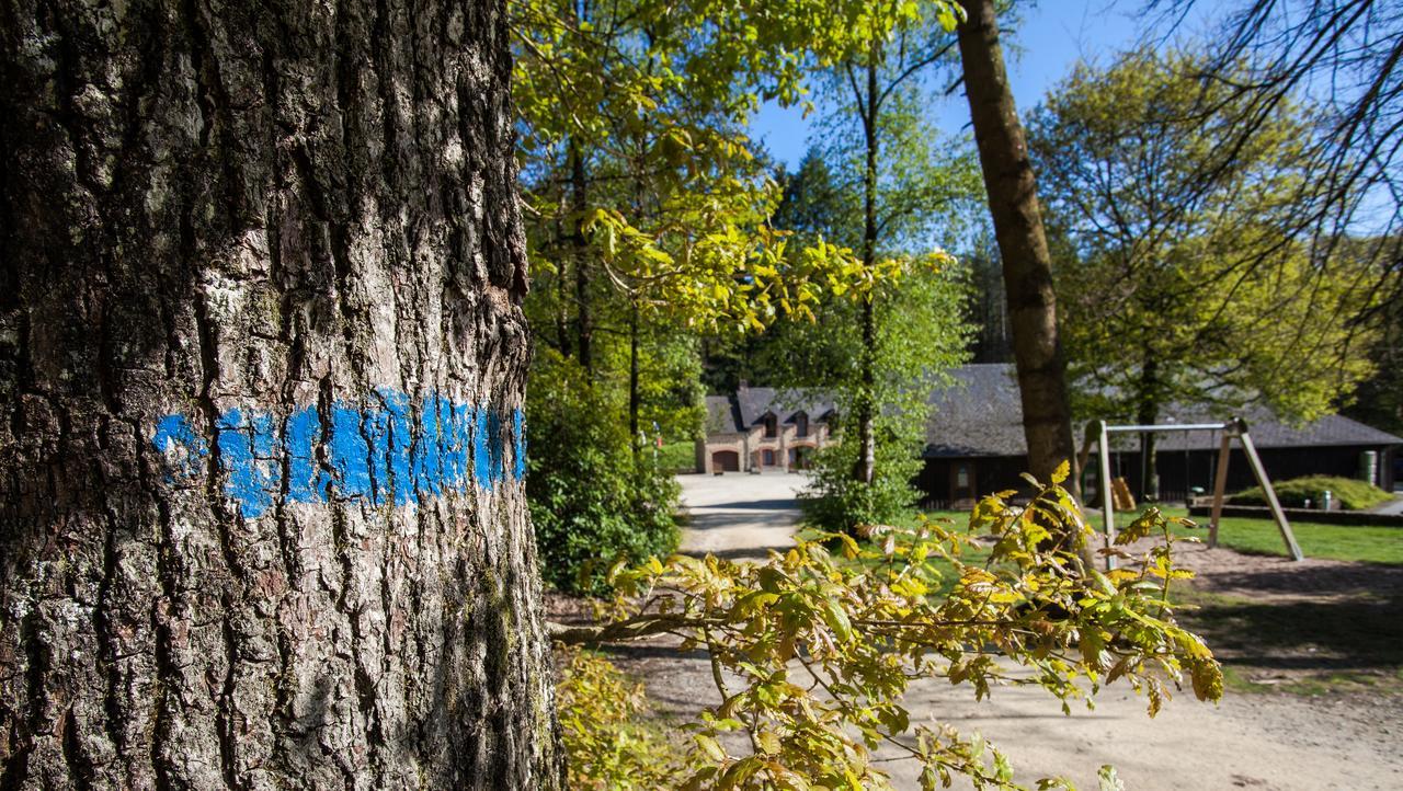 Chalet De La Croix Du Hetre *